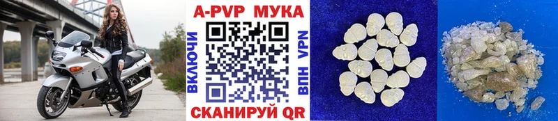 сайты даркнета телеграм  Починок  Alpha PVP СК 