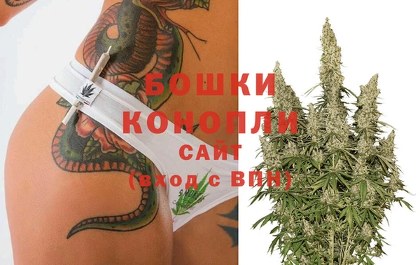стафф Осташков