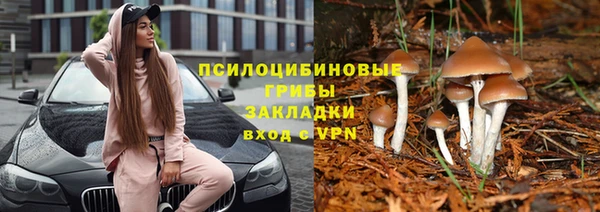 PSILOCYBIN Видное